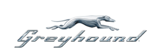 Greyhound