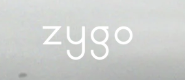 Zygo